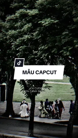 Cả cuộc đời bên cạnh em mãi thôi dù buồn vui trắng tay hay sang giàu #nhachaymoingay #capcutmaster #capcut #pioneertemplate #capcutpioneer 