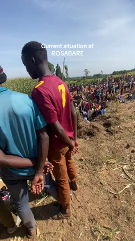 GOLD DEPOSITS FOUND IN LARGE QUANTITIES IN ROSABARE! Full video coming up on YouTube:#foryou #fyp 