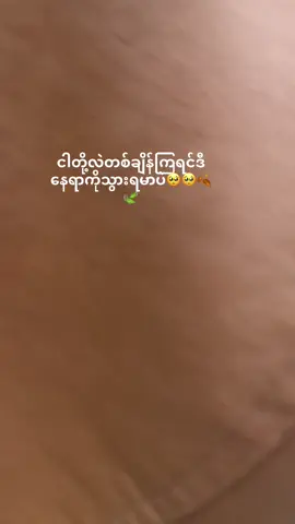 #လွန်ဆန်လို့မရတဲ့နေရာတစ်ခုပါ🍂🍃#FYp#