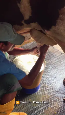 #foryou #fypシ #tiktok #foryoupage #tonmoydairyfarm 
