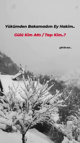 #yorukkızıı #hikaye #bitti #🕊🍂⛓️‍💥 