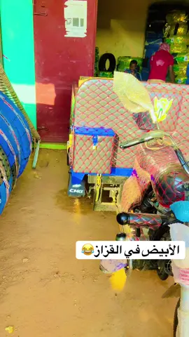 #كبابيش_يا_رسول_الله #كبابيش_العز #بدون_هشتاق #fyp #الشعب_الصيني_ماله_حل😂😂 