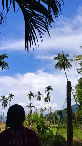 #obatpenenangtanpadosis #layangpesselekorpanjang