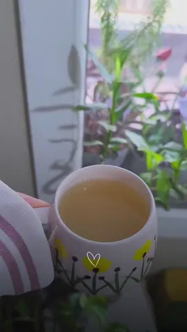 وكُلما حَمــدتُ ربّـــي وجَدتُ منه ما يُرضيني 🌷الحمــــــــدلله🌷#fyp #مشروبي_المفضل  #الحمدلله_دائماً_وابداً #زهورات_شامية #زهوراتي💕 