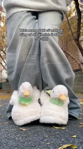 Z mà cũng có người xin in4 =))))) #xuhuong #viral #xuhuongtiktok #fyp #trending 