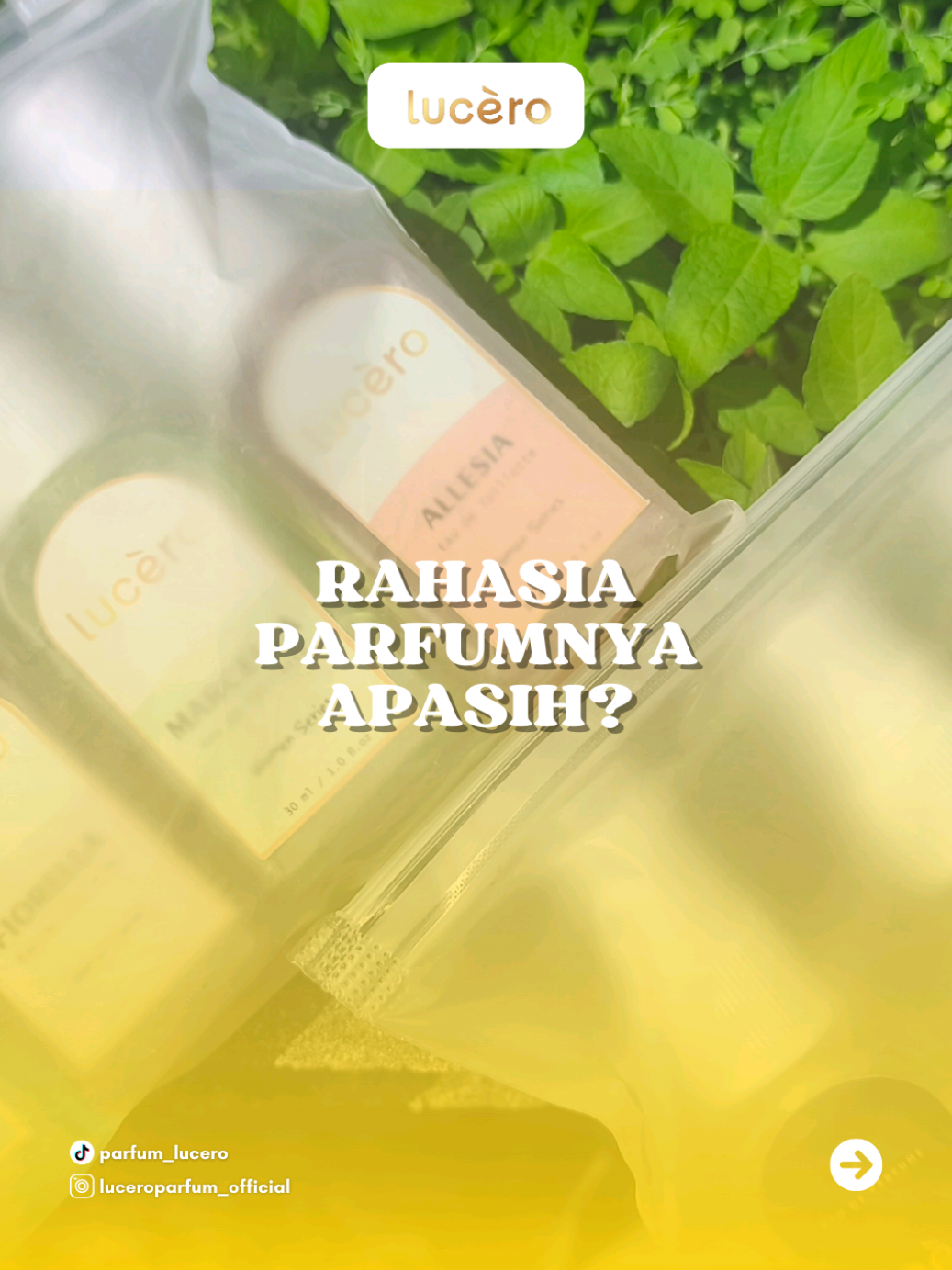 Jangan komplain soal keadaan, ini parfum isi 5 bintang 5 semuanya 😗✨ Langsung checkout sekarang di keranjang kuning sebelum kehabisan! Promo gila-gilaan bulan ini 👀💫 #parfumviral #parfum #luceroparfum #viral #fyp 