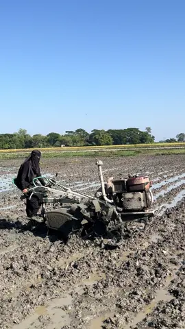 কতদিন কতরাত 