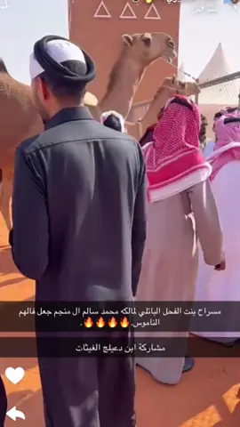 تصدير عزبه محمد بن سالم حشان ال منجم #فرديه_الحمر #الصياهد_رماح #الباتلي #النامووووووووس #لايك_متابعه_اكسبلور 