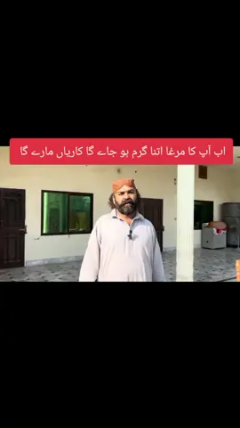 اب آپ کا مرغا اتنا گرم ہو جائے گا کاریاں مارے گا#foryou #fyp #viral_video #foryou #aseellovers 