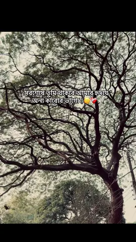 সবশেষে তুমি থাকবে আমার হৃদয়ে 