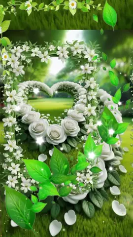 صلي على النبي سيدنا محمد صلى الله عليه وسلم#CapCut 