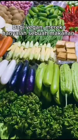 @Daging Jahat Dari sebuah biji lama kelamaan jadi apapun #stopveganism #fyp #saveplants