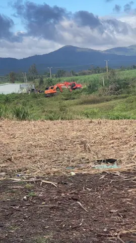 Rán mai em tập gắp nhé🤣🤣