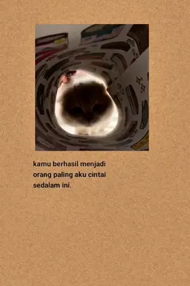 #katakatasedih #katakatasedih #fyp #viral #laguindia 