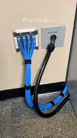 Does this make me a bad person? 🛜 #viral #fyp #CableManagement #lowvoltagetechnician #prank 