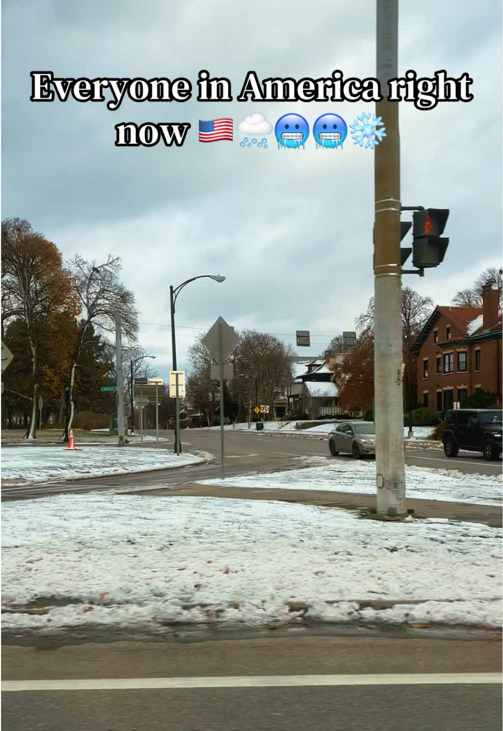 Everyone in America right now 🇺🇸🌨️🥶❄️ #usa🇺🇸 #viral #snow #cold #fyp 