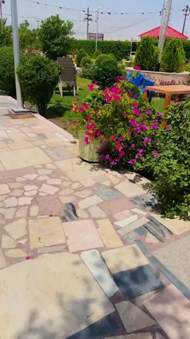 #ميسان #محضوره_من_الاكسبلور_والمشاهدات #fyp #ضيفوني #الشعب_الصيني_ماله_حل😂😂 