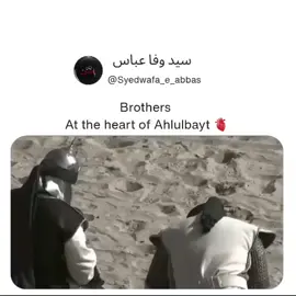 Brothers, the pillars of Ahlulbayt ❤️‍🩹 #100kfollowers  #foruyou  #yaalimadad  #foryoupage  #100kfollowers 