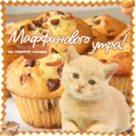 быстрее. быстрее.быстрее.  #маффин #кексы #добро #открыткв #деньваренья 