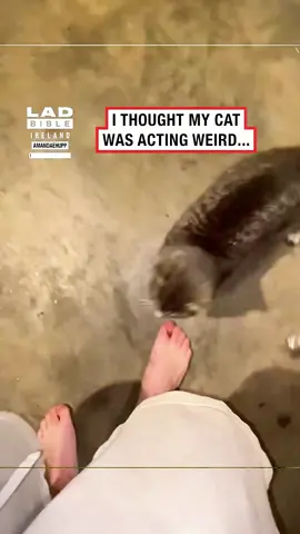 #streetfood #southkorea #mukbang #koreanfood