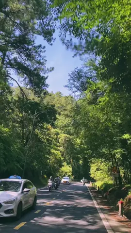 Ăn mày quá khứ , một chiếc đèo 