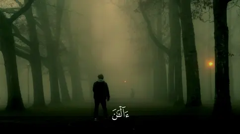 طمأنينه 🕊️🤍 #راحة_نفسية #عبدالرحمن_مسعد #قران_كريم #قران #quran 