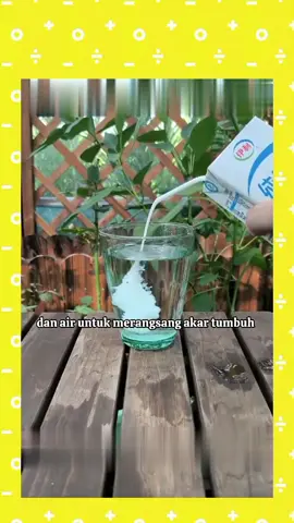 #tipstani #tipstanaman #tipspetani #tipspetanimodern 