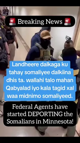 Federal Agents started deporting the Somalians in Minnesota! LFG 🔥 Please don't Forget to FOLLOW us. #somali #somalitiktok #somalia #somaliweyn #mogadishu 
