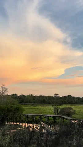 Ehau Dingaq Lagu yak🥰 #dayakbenuaq #explore #kalimantan #borneo #jagahutankita 