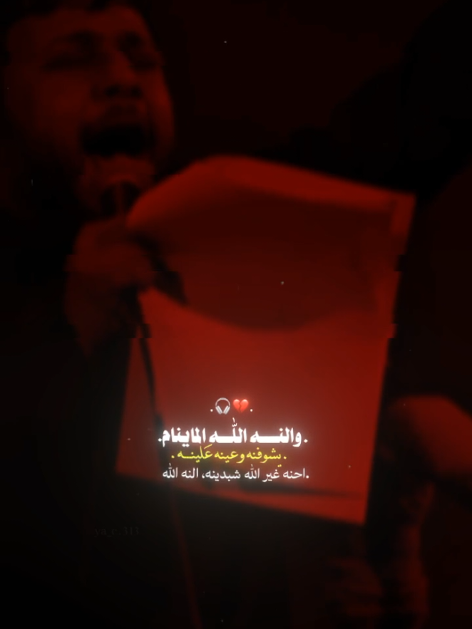 احنهَ غير اللّٰه شبدينه..🤷🏻‍♂️🎧 #سيد_فاقد_الموسوي  #سمير_صبيح  #capcut  #ya_c313 