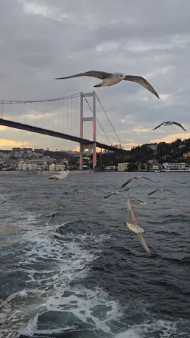 Ve sonra anlıyorsun hiç kimsenin hiçbir şeye değmediğini.