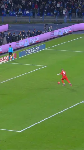 COME NA CATAPULTA! 💥💙@@herbertballerina  #ForzaNapoliSempre #napolitiktok #perte #penalty #milinkovicsavic 