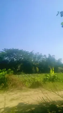 #foryoupage#viral video#linthawtarkhing 