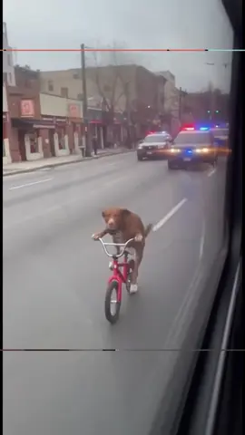 (25 Nov. 2025) pray for Sibolga dan Tapanuli, Sumatera Utara. 🥀 #longsor #disaster #banjirbandang