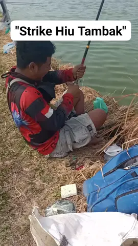 ketawanya nular #pemancing #mancingmania #ikanbabon #ikankakap #masteressenpro 