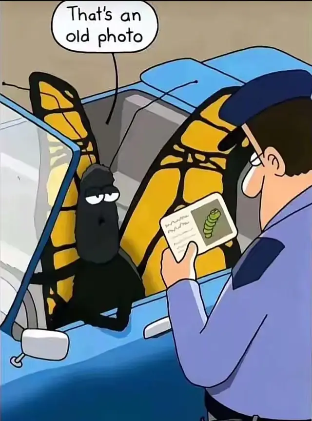 ပုံလဲမရှိတော့ဘူး”🙁🤍#fyp #မွန်လူမျိုးစစ်စ်”❤️‍🩹