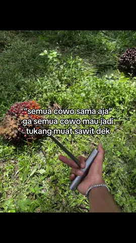 beda lah dek😁#bismillahfyp  #xybca#foryou#pemuatsawitriau#fyppppppppppppppppppppppp 