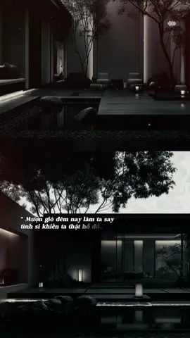 Mượn gió đêm nay làm ta say tình si khiến ta thật hồ đồ… #tramcamxuc_01 #teddyentertainment #phongsuongtuu #Bkmuzic 
