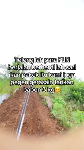 Tolong berhenti ya kawan kita juga pegen gerasain tarik an babon juga😌🥲🥲🥲#CapCut #fyppppppppppppppppppppppp ##masukberanda #macing 