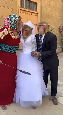 يوم الجن 🤣🤣🤣#قردوني #قرود #LIVEFest2025 #