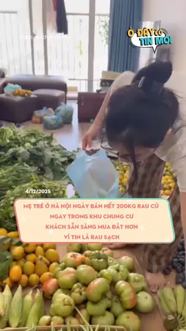 Mẹ trẻ ở Hà Nội ngày bán hết 200kg rau củ ngay trong khu chung cư, khách sẵn sàng mua đắt hơn vì tin là rau sạch #odaycotinmoi #LearnOnTikTok #xuhuong
