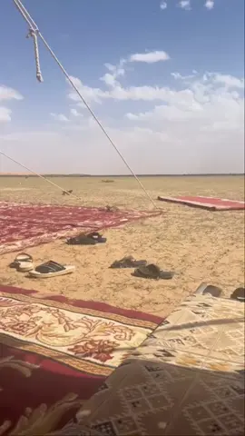 ارشيفف #٢٠١٤ #تمساح # ارشيف #