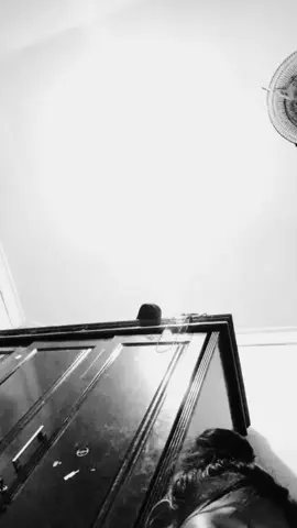 sedia sebelum hujan-@idgitaf #coversong #idgitaf #fypシ #foryoupage 