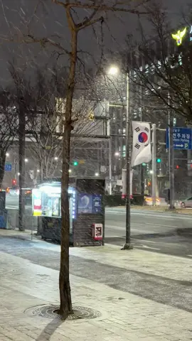Seoul’s first snow fall!! 🇰🇷❄️🌨️ #korea #seoul #travel #snow #firstsnow 
