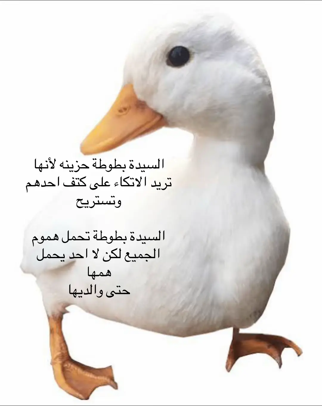 #fyp #السيدةبطوطه #حزن 