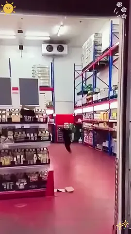 Smooth moves 😎👌done by humans#fyp #foryoupage #smoothmoves #reaction #skill