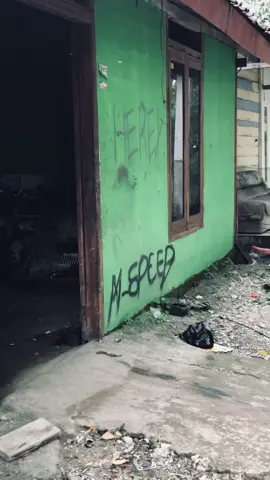 #serenareborn #mspeedofficial 