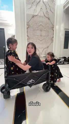 เข็นน้า