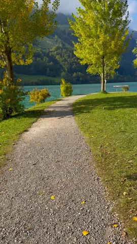 Humko hamise choralo 🇨🇭 One my favourite shahrukh Khan Songs 🎵 #switzerland🇨🇭 #shahrukhkhan #شاروخان #طبیعت #اوزبیک_تاجیک_پشتون_هزاره_ترکمن 