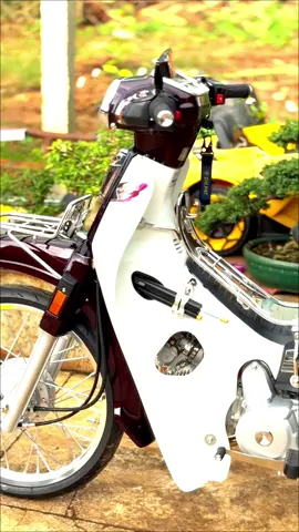 Super đream 1997 🇻🇳#xunghuong #CHXMBDuyKhanh #fyp 